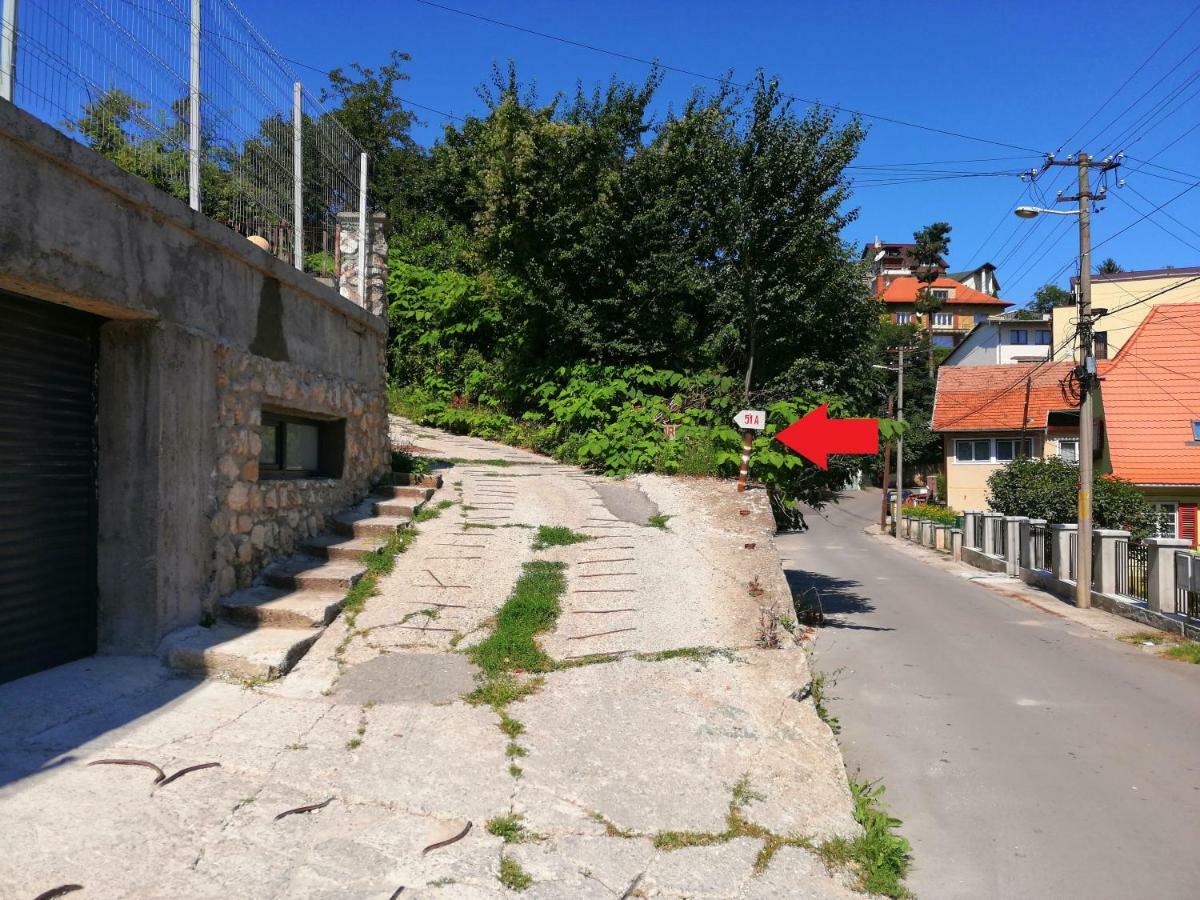 בראשוב Vila Liana מראה חיצוני תמונה
