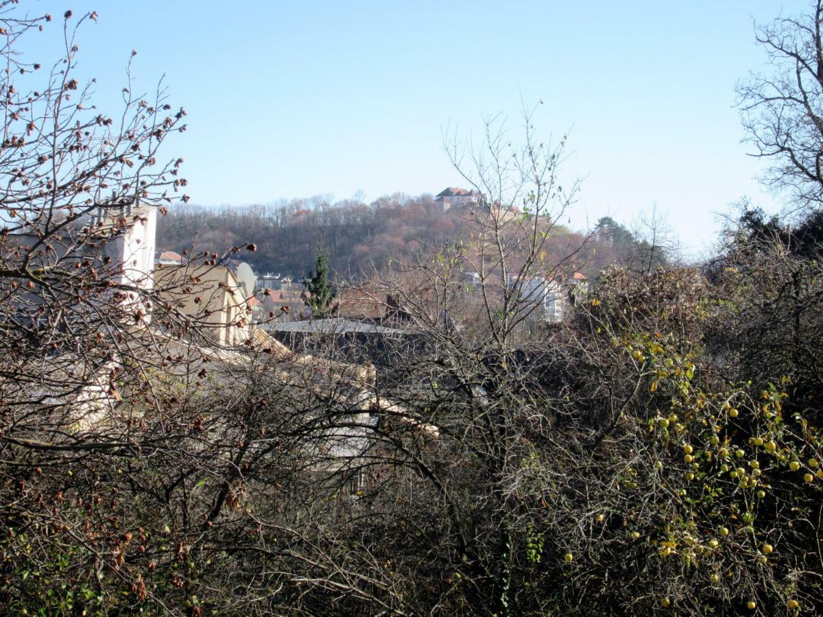 בראשוב Vila Liana מראה חיצוני תמונה
